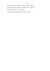 UAB „X“ investicinis projektas 17 puslapis