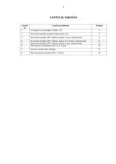 UAB „X“ investicinis projektas 3 puslapis