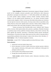 UAB „X“ investicinis projektas 4 puslapis