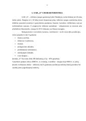 UAB „X“ investicinis projektas 5 puslapis