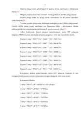 UAB „X“ investicinis projektas 7 puslapis