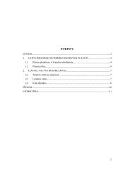 Jūreivystės atsiradymas ir jos vystimas iki burinių laivų 2 puslapis