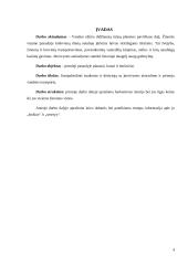 Jūreivystės atsiradymas ir jos vystimas iki burinių laivų 4 puslapis