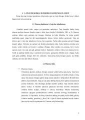 Jūreivystės atsiradymas ir jos vystimas iki burinių laivų 5 puslapis