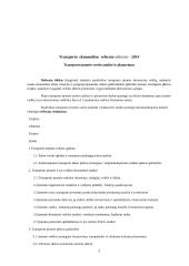 Kauno oro uostas 2 puslapis