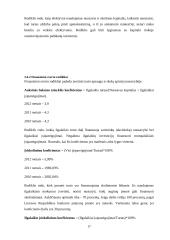 Kauno oro uostas 17 puslapis