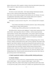 Kauno oro uostas 6 puslapis