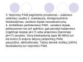 Paviršiaus aktyvios medžiagos 6 puslapis