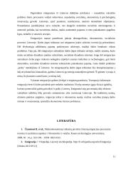 Emigracija, bei pagrindinės jos priežastys skatiniančios žmogų emigruoti iš savo valstybės 11 puslapis