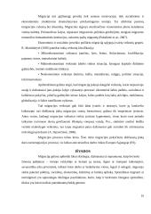 Emigracija, bei pagrindinės jos priežastys skatiniančios žmogų emigruoti iš savo valstybės 10 puslapis