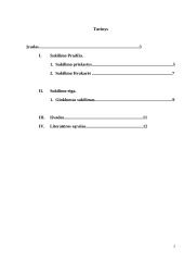 1863-64 metų sukilimo referatas 2 puslapis
