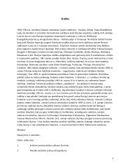 1863-64 metų sukilimo referatas 3 puslapis