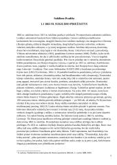 1863-64 metų sukilimo referatas 5 puslapis