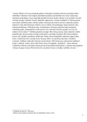 1863-64 metų sukilimo referatas 9 puslapis