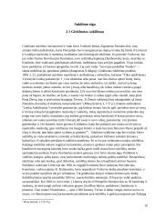 1863-64 metų sukilimo referatas 10 puslapis