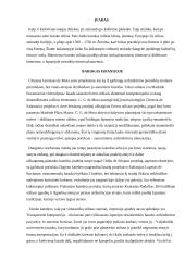 Barokas Ispanijoje ir Vilniuje, Versalio rūmai, Rokoko 2 puslapis