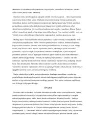 Barokas Ispanijoje ir Vilniuje, Versalio rūmai, Rokoko 11 puslapis