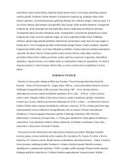 Barokas Ispanijoje ir Vilniuje, Versalio rūmai, Rokoko 3 puslapis