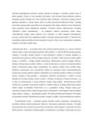 Daiktines technikos raida 2 puslapis