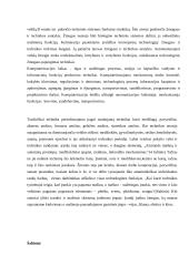 Daiktines technikos raida 3 puslapis