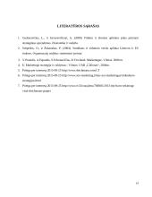 Parduotuvės Deichmann verslo aplinkos analizė 14 puslapis