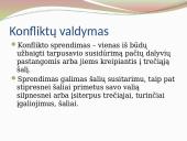 Konflikto samprata, pasekmės ir valdymas 12 puslapis