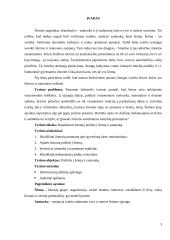 Požiūris į šeimą ir santuoką - sociologijos dalyko kursinis darbas 3 puslapis