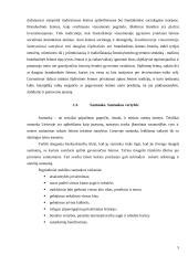 Požiūris į šeimą ir santuoką - sociologijos dalyko kursinis darbas 5 puslapis