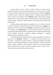 Požiūris į šeimą ir santuoką - sociologijos dalyko kursinis darbas 6 puslapis