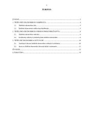 Darbas apie šešėlinę ekonomiką 2 puslapis