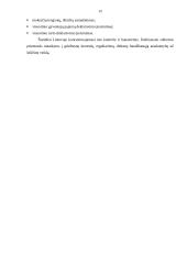 Darbas apie šešėlinę ekonomiką 12 puslapis