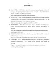 Darbas apie šešėlinę ekonomiką 14 puslapis