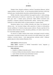 Darbas apie šešėlinę ekonomiką 3 puslapis