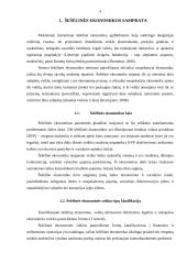 Darbas apie šešėlinę ekonomiką 4 puslapis