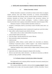 Darbas apie šešėlinę ekonomiką 6 puslapis