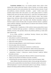 Darbas apie šešėlinę ekonomiką 8 puslapis