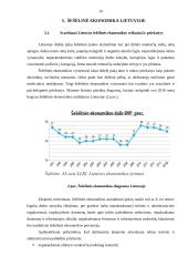 Darbas apie šešėlinę ekonomiką 10 puslapis