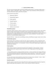 Lietuvos ir Anglijos švietimo sistemų palyginimas 3 puslapis