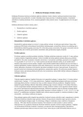 Lietuvos ir Anglijos švietimo sistemų palyginimas 5 puslapis