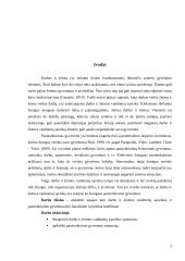 Darbo ir šeimos vaidmenų sąveikos ir pasitenkinimo gyvenimu sąsajos 2 puslapis