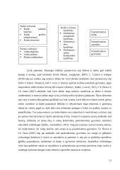 Darbo ir šeimos vaidmenų sąveikos ir pasitenkinimo gyvenimu sąsajos 11 puslapis