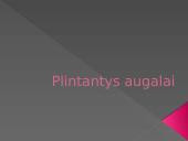 Nykstantys augalai 6 puslapis