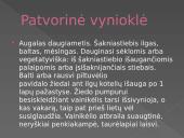 Nykstantys augalai 9 puslapis