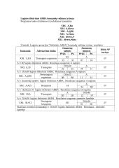 Loginių baitinių komandų tyrimas 3 puslapis