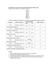 Loginių baitinių komandų tyrimas 4 puslapis