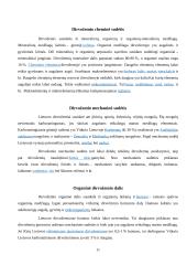 Dirvožemio susidarymo procesai. Globalinės litosferos funkcijos 11 puslapis