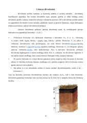 Dirvožemio susidarymo procesai. Globalinės litosferos funkcijos 12 puslapis
