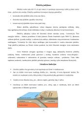 Dirvožemio susidarymo procesai. Globalinės litosferos funkcijos 15 puslapis