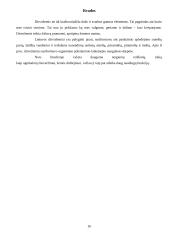 Dirvožemio susidarymo procesai. Globalinės litosferos funkcijos 16 puslapis