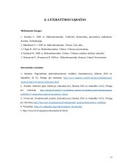 Suomijos makroekonominių rodiklių analizė 17 puslapis